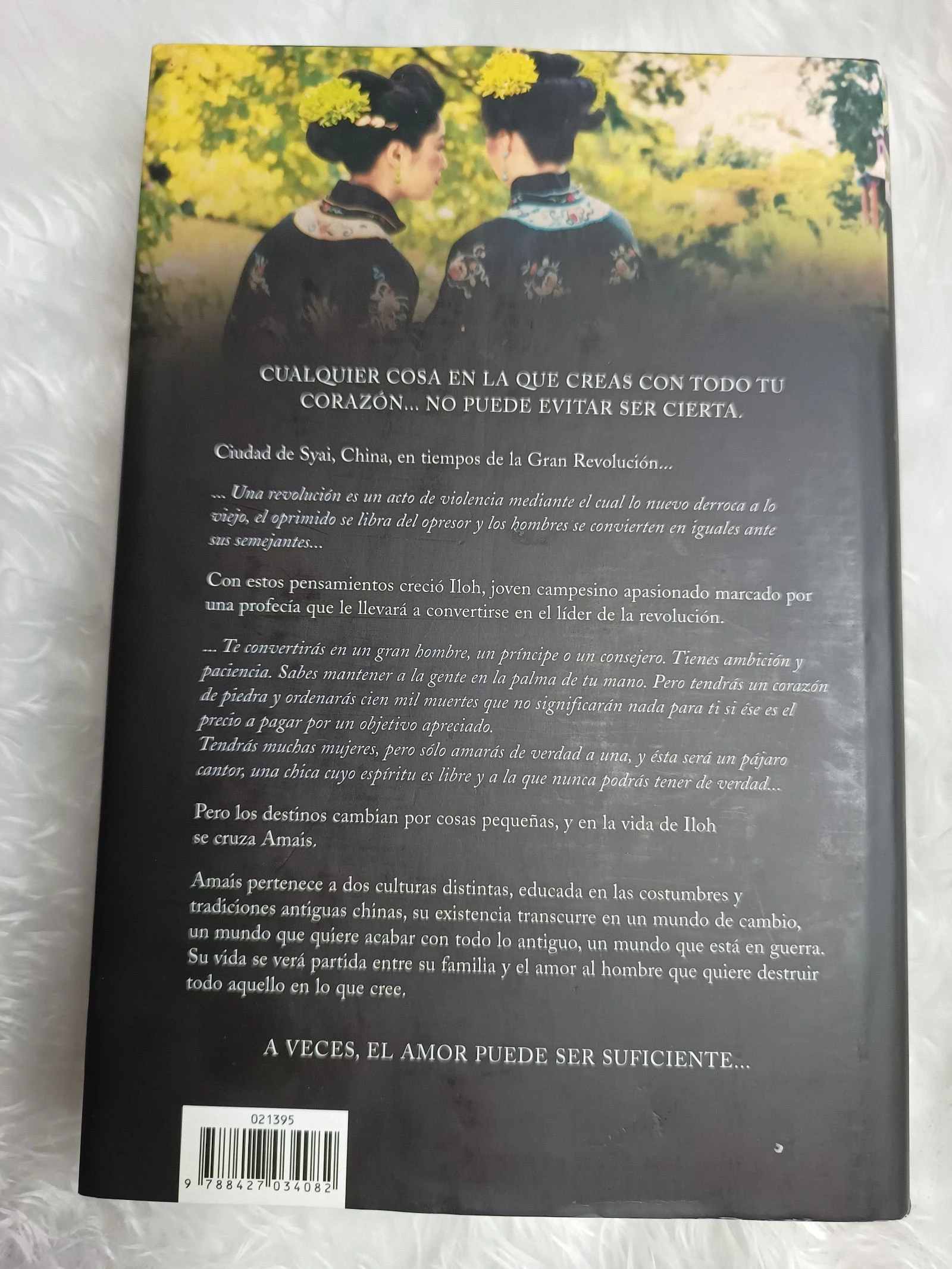 Boek De As van de Hemel – photo 2
